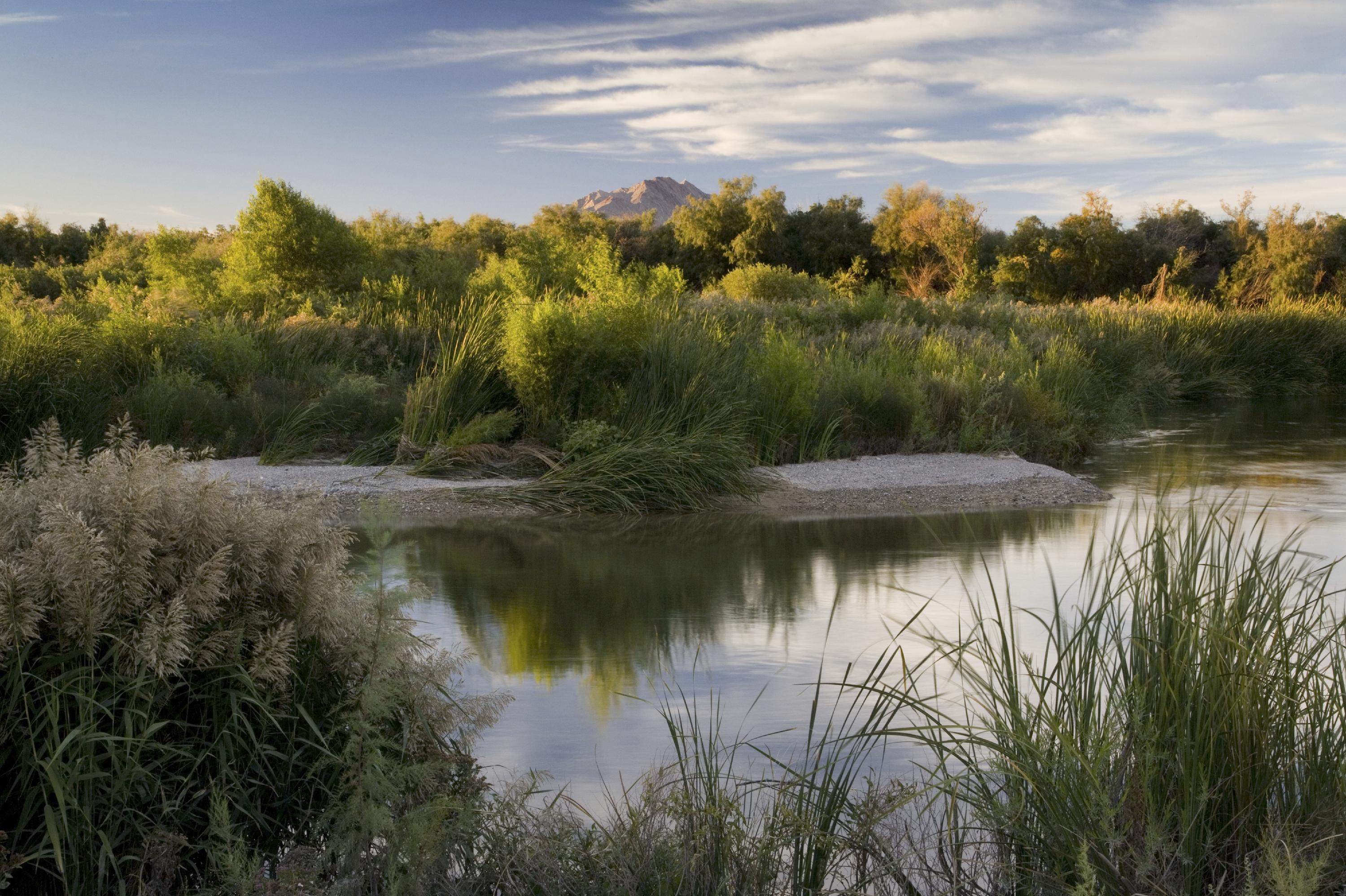 Desert Wetlands Pic